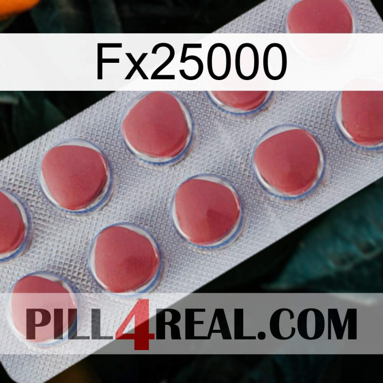 Fx25000 18